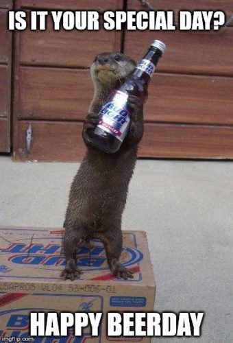 Funny Happy Beerday beer otter meme. | Birthday Wishes Expert Is it your special day? Happy Beerday.