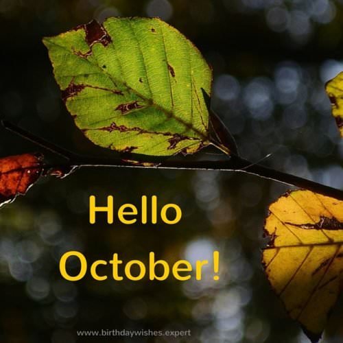 Hello, October!