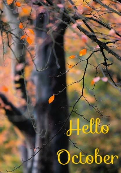 Hello, October.