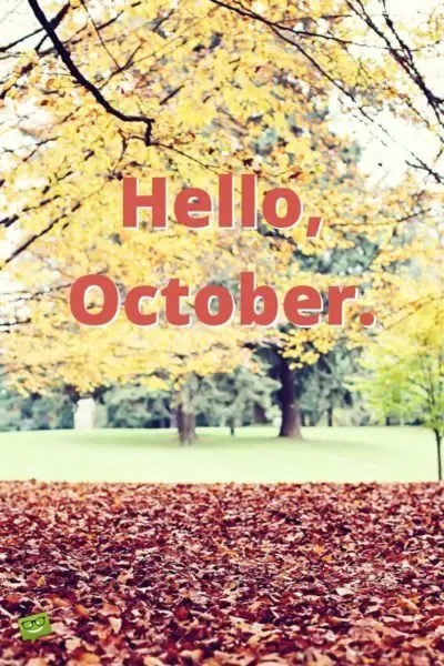 Hello, October.