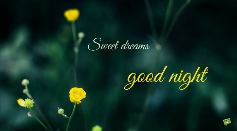 Good Night Messages for Friends Never Stop Dreaming Good Night Messages for Friends Never Stop Dreaming