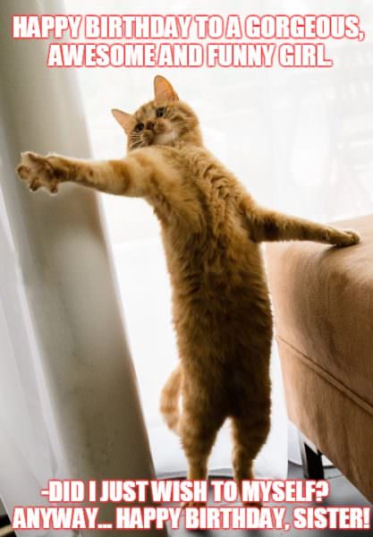 Funny birthday meme for sister on photo of a cat. | Birthday Wishes Expert Happy Birthday to a gorgeous, awesome and funny girl. Did I just wish to myself? Anyway... Happy Birthday, Sister!