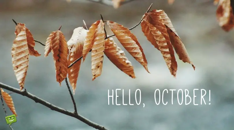 Hello, October.