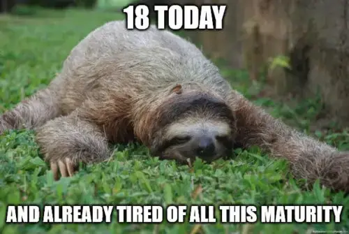 Sloth birthday meme