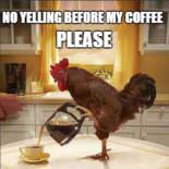 31 Funny Good Morning Memes for Each Day of the Month 31 Funny Good Morning Memes for Each Day of the Month