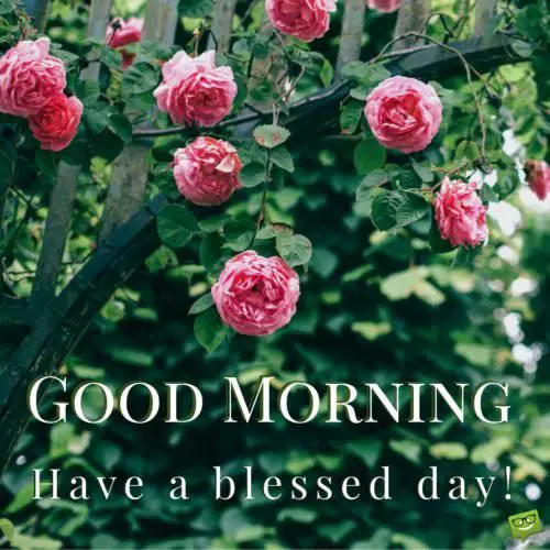 Good Morning. Have a blessed day!