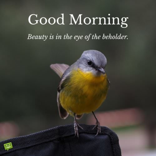 Good Morning. Beauty is in the eye of the beholder.