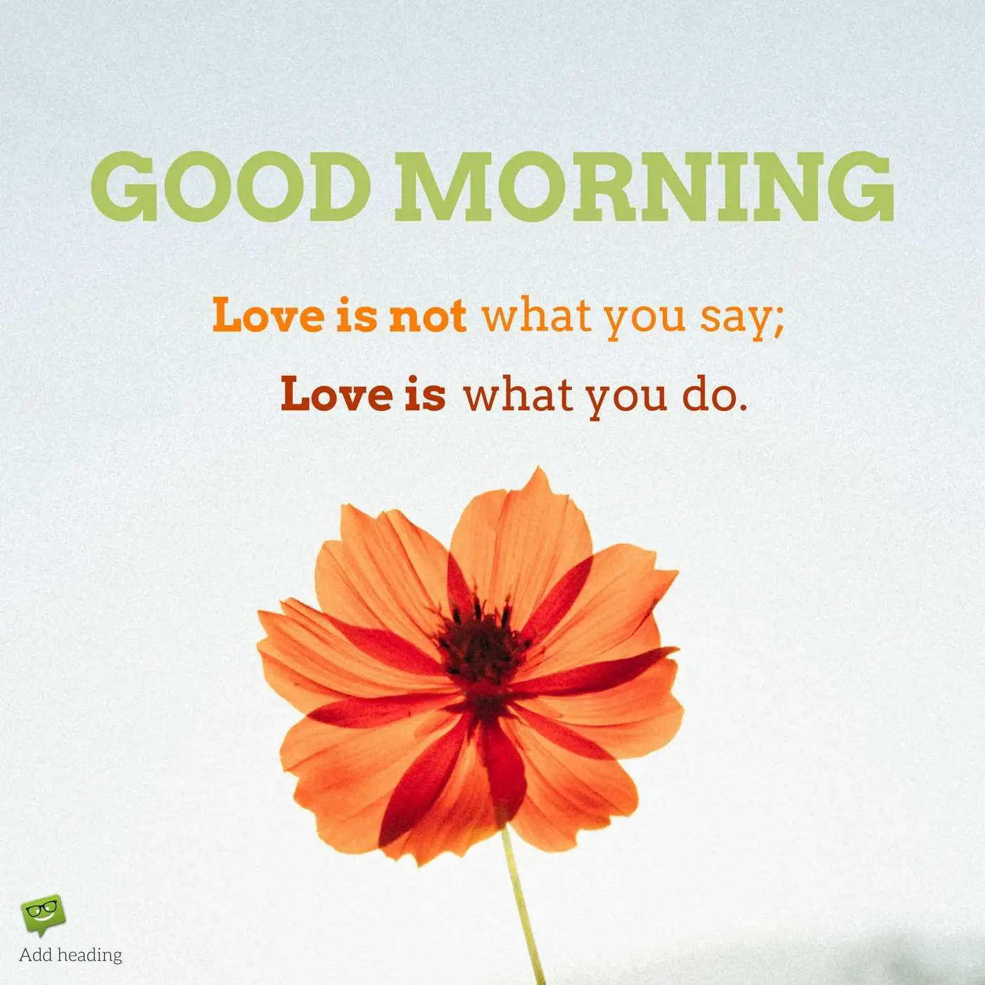 Good Morning Love is not what you say Love is what you do