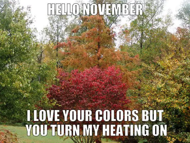 Funny "Hello, November" meme. | Birthday Wishes Expert Hello, November. I love your colors but you turn my heating on.