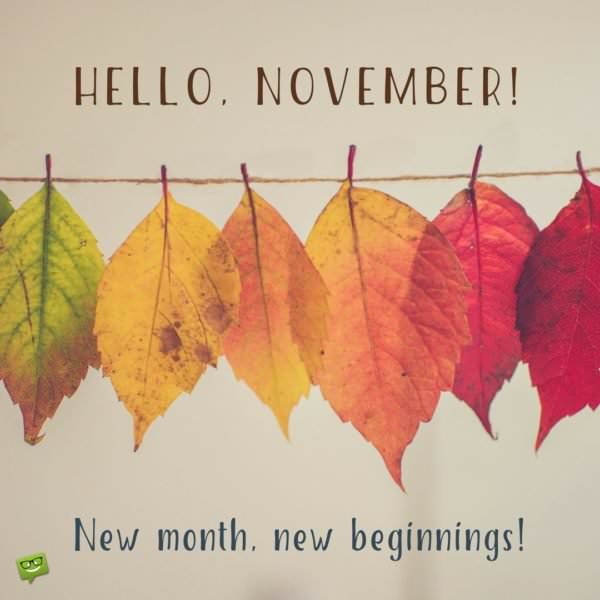 Hello, November! New month, new beginnings!