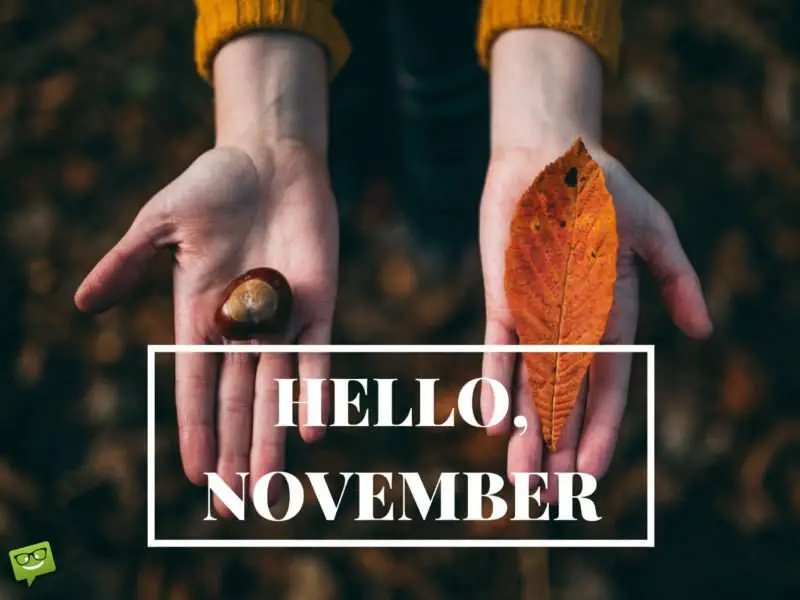 Hello, November.