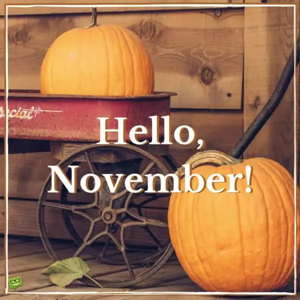 Hello, November!