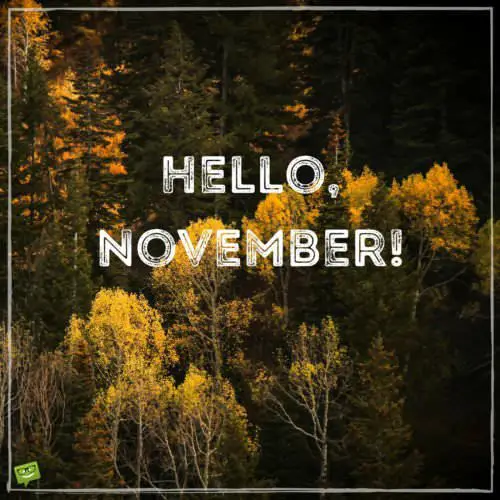 November quote on image of autumn landscape. | Birthday Wishes Expert Hello, November!