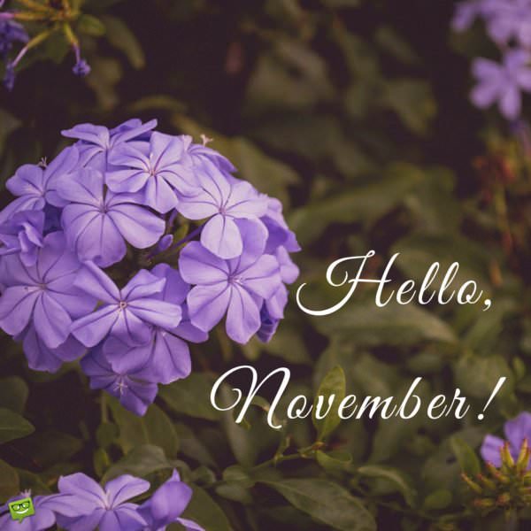 Hello, November. | Birthday Wishes Expert Hello, November.