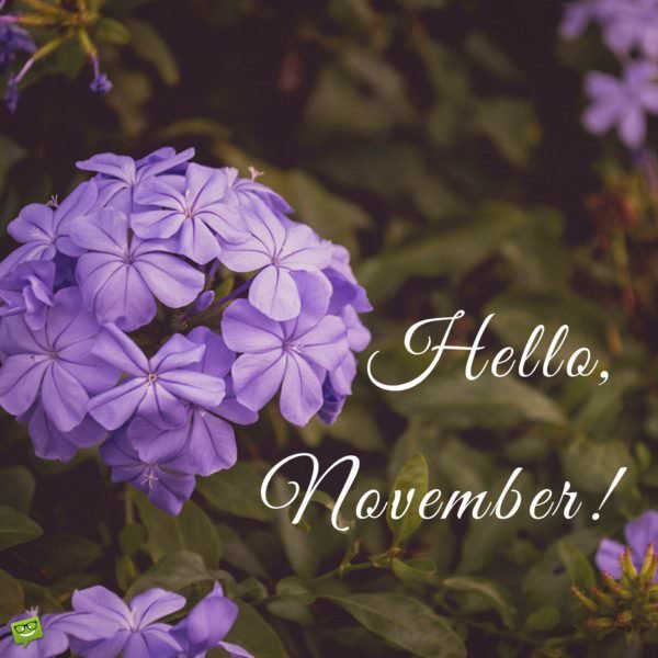 Hello, November.