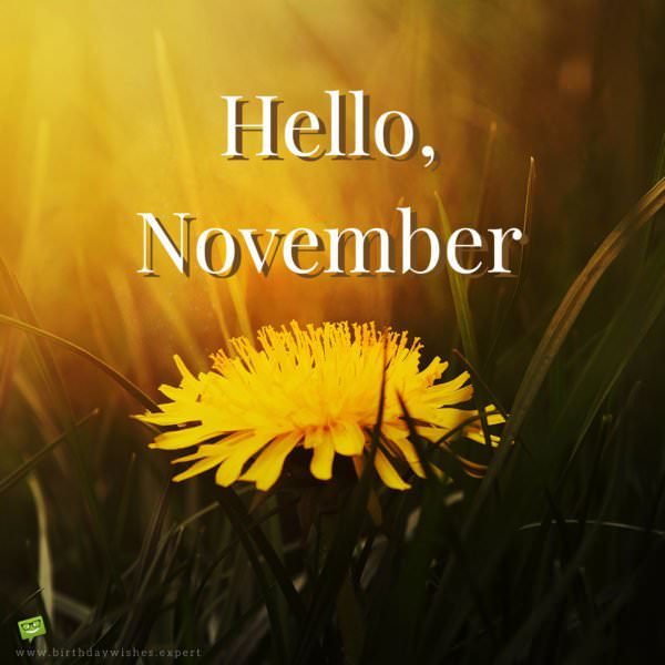 Hello, November.