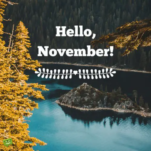 November quote on image of autumn landscape. | Birthday Wishes Expert Hello, November!