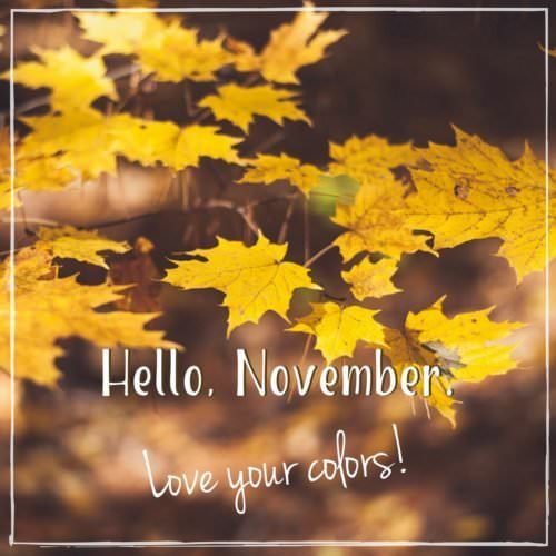 November quote on image of autumn landscape. | Birthday Wishes Expert Hello, November. I love your colors!