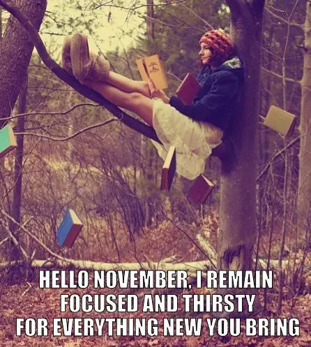 "Hello, November" meme. | Birthday Wishes Expert Hello, November. I remain focused and thirsty for everything new you bring.