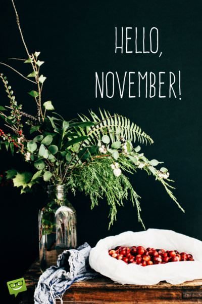 Hello, November.