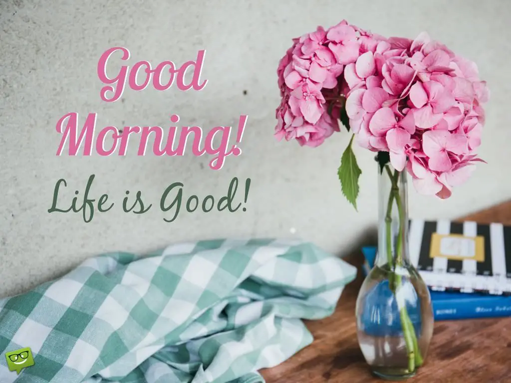 Elegant Good Morning Quotes For Beautiful Life Thenestofbooksreview