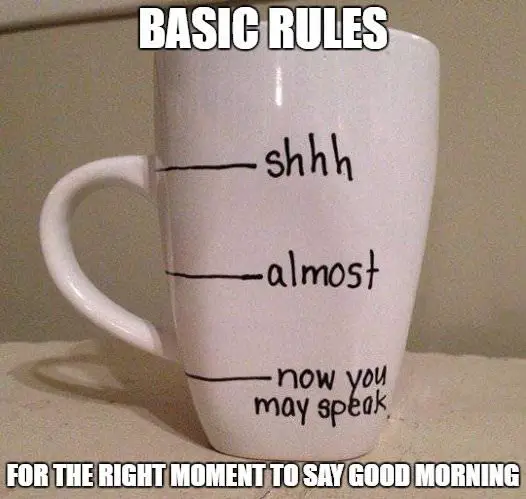 [Image: The-right-moment-to-say-good-morning-meme.jpg]