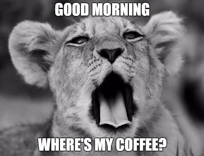 Good morning, where's my coffee?