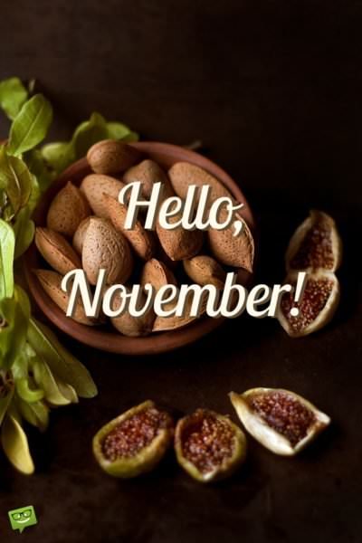 November Image of Seasonal Food. | Birthday Wishes Expert Hello, November!