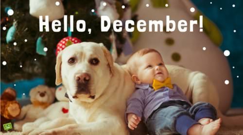 Hello, December!