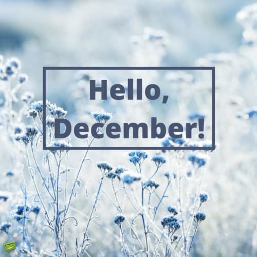 Hello, December!