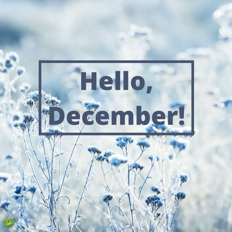 Hello, December!  End the Year and Start Anew