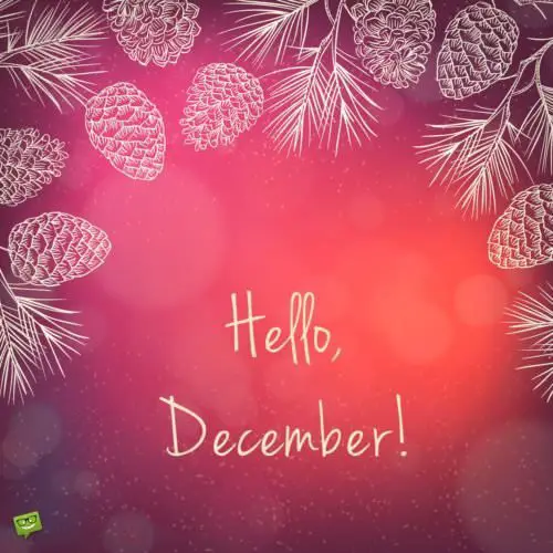 Hello, December!