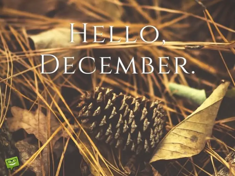 Hello, December.