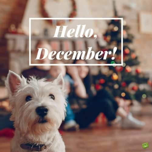 Hello, December.