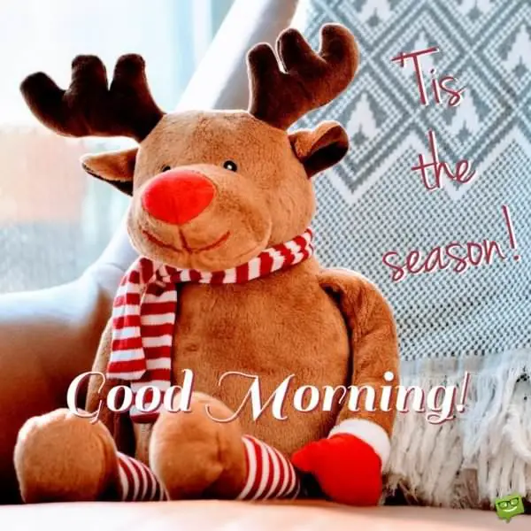 Good Morning. 'Tis the season!