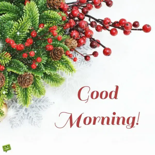 Celebration Time!  Good Morning Wishes for Christmas