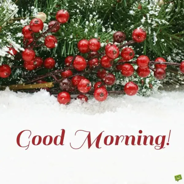 Celebration Time!  Good Morning Wishes for Christmas