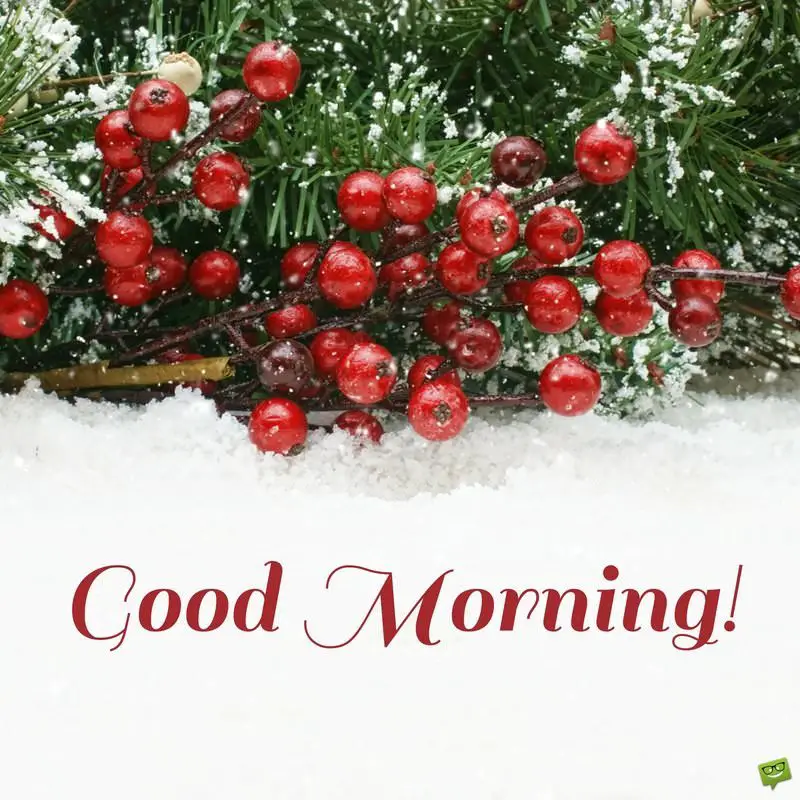 Celebration Time! | Good Morning Wishes for Christmas