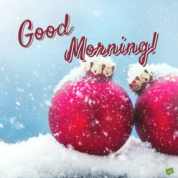 Celebration Time! | Good Morning Wishes for Christmas