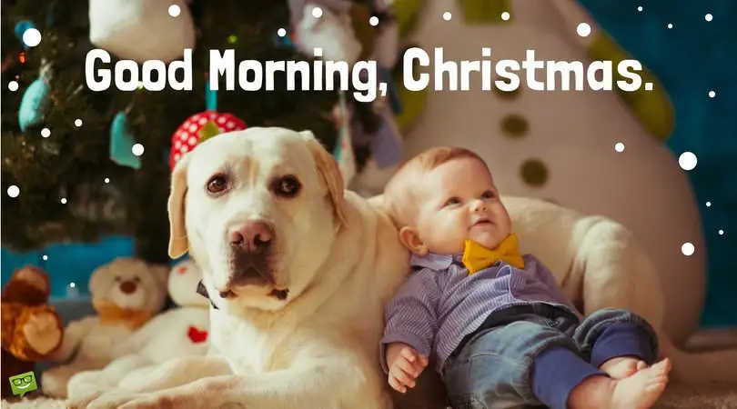 Good morning, Christmas! | Birthday Wishes Expert Good morning, Christmas!