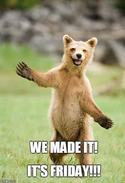 Funny Friday meme with hilarious quote on pic of happy animal. | Birthday Wishes Expert We made it! it's Friday!!!