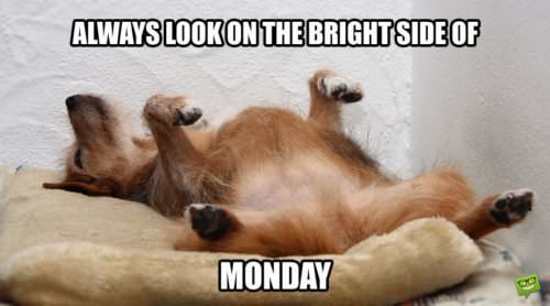 Always look on the bright side of Monday.