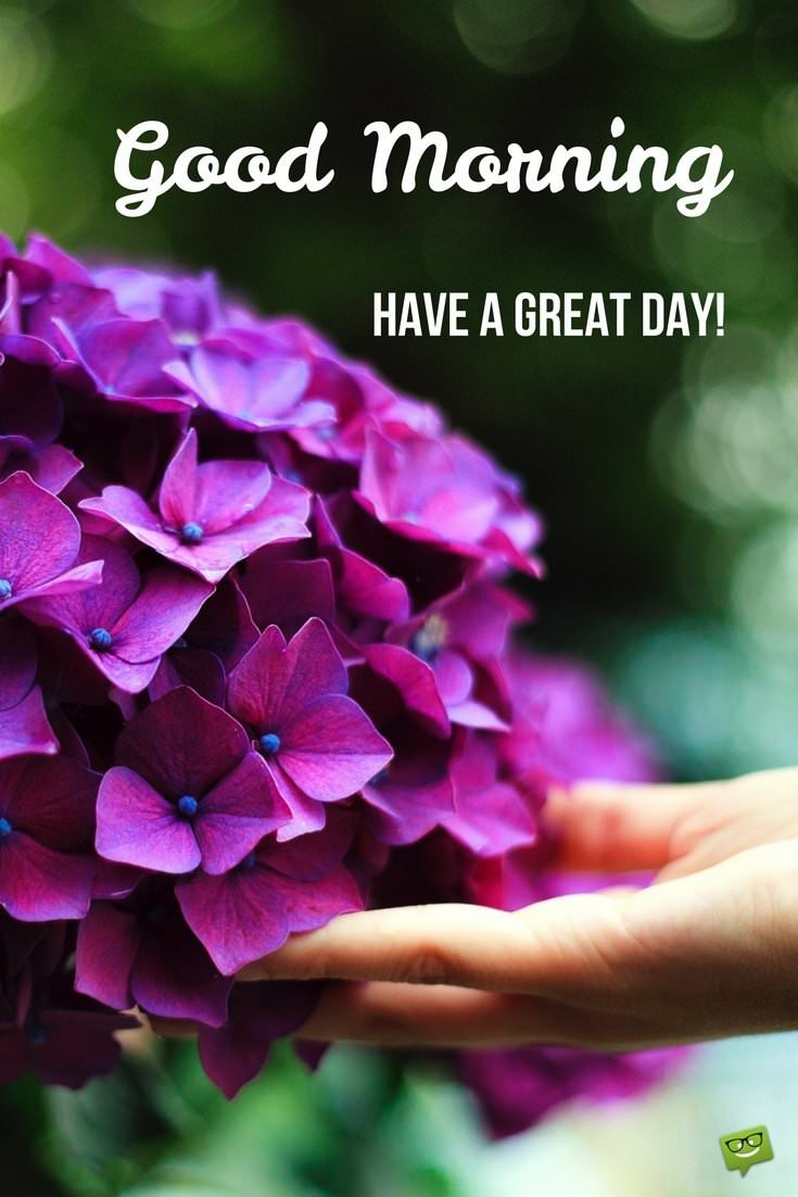 Amazing Good Morning Picture With Purple Flower And A Wish