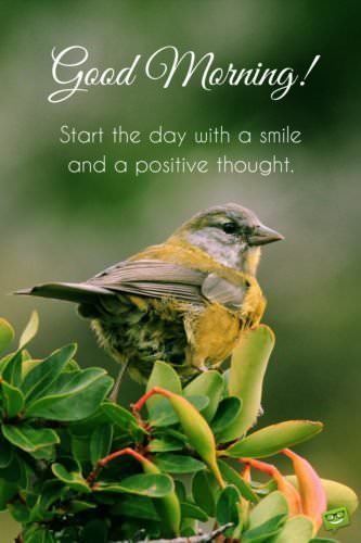 Good Morning. Start the day with a smile and a positive thought.