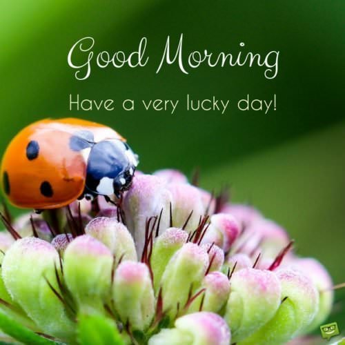Good Morning. Have a very lucky day!