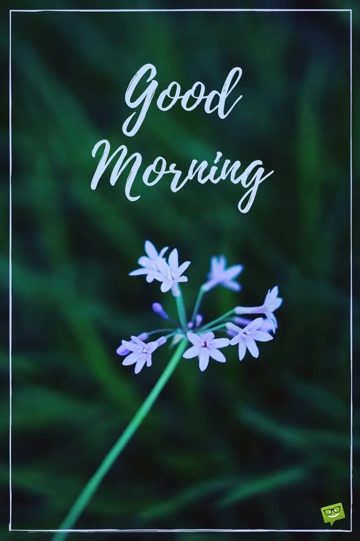 Fresh Inspirational Good Morning Quotes for the Day | Get on the Right