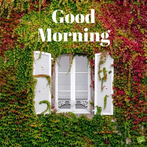 Fresh Inspirational Good Morning Quotes for the Day | Get on the Right