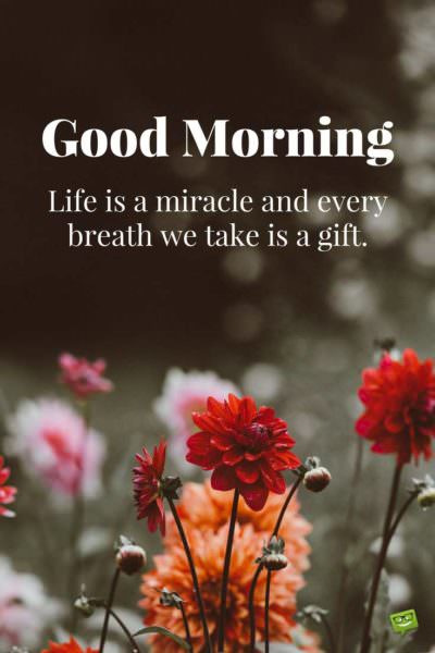 Fresh Inspirational Good Morning Quotes for the Day | Get on the Right