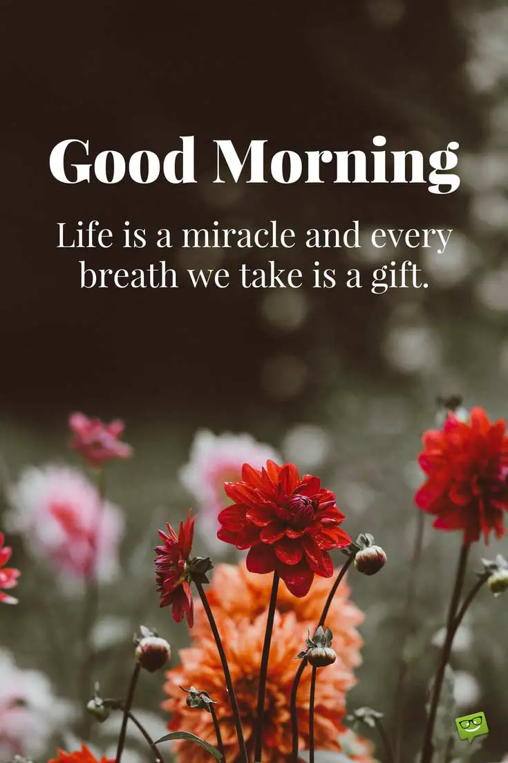 Fresh Inspirational Good Morning Quotes for the Day  Get 