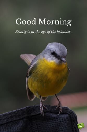 Fresh Inspirational Good Morning Quotes For The Day Get On The
